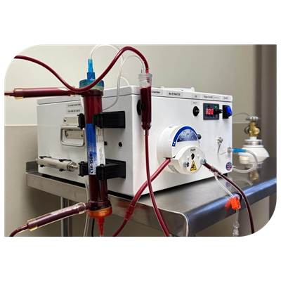 EBOO BLOOD DETOX THERAPY